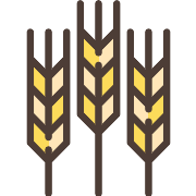 Wheat PNG Icon