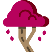 Maple PNG Icon