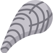 Seashell PNG Icon