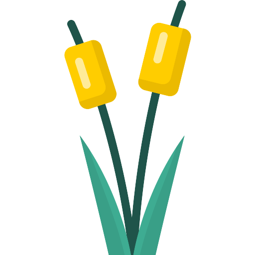 Reed Bed Vector SVG Icon - PNG Repo Free PNG Icons