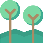 Tree Botanical PNG Icon