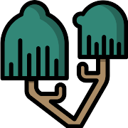 Willow PNG Icon