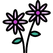 Daisy Flower PNG Icon