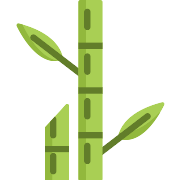 Bamboo PNG Icon