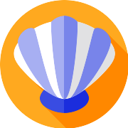 Shell PNG Icon