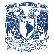 Unam Logo PNG Icon
