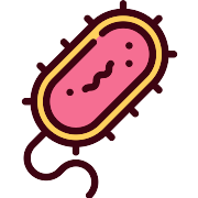 Bacteria PNG Icon