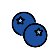 Blueberries PNG Icon
