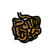 Intestine PNG Icon