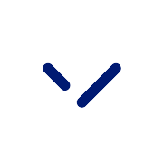 Chevron Down Small PNG Icon