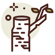 Birch PNG Icon