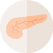 Pancreas PNG Icon