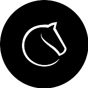 Lichess PNG Icon