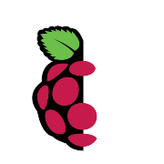 Raspberry Pi PNG Icon