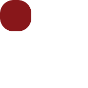 Wireguard PNG Icon