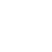 Faction Fwc PNG Icon