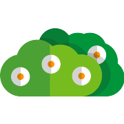 Bush PNG Icon