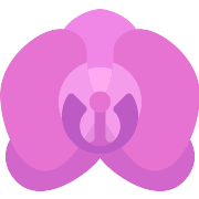 Orchid PNG Icon
