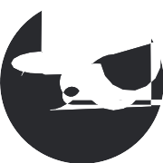Icp PNG Icon
