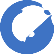 Usdc PNG Icon