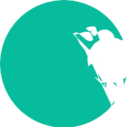 Zest PNG Icon