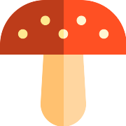 Mushroom PNG Icon