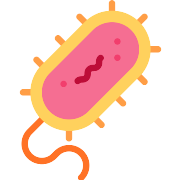 Bacteria PNG Icon