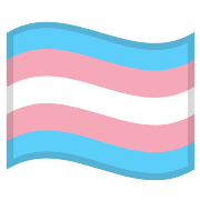 Transgender Flag PNG Icon