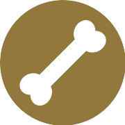 Bone Vector SVG Icon - PNG Repo Free PNG Icons