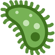 Microbe PNG Icon