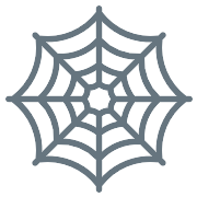 Spider Web PNG Icon