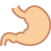 Stomach PNG Icon