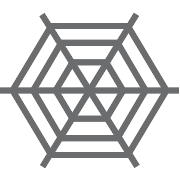 Spider Net PNG Icon