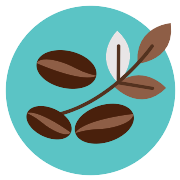 Bean Coffee Leaf PNG Icon