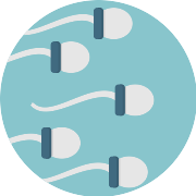 Spermatozoon PNG Icon
