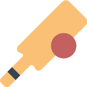 Cricket PNG Icon