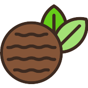 Peppermint Patty PNG Icon