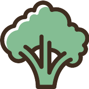 Broccoli PNG Icon