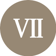 Seven PNG Icon