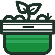 Sapling PNG Icon