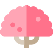 Cherry Tree PNG Icon
