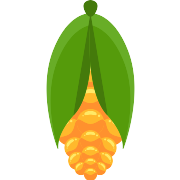 Corn PNG Icon