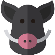 Boar PNG Icon