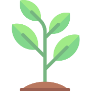 Sprout PNG Icon