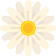 Daisy PNG Icon