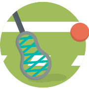 Lacrosse PNG Icon