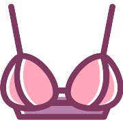 Brassiere PNG Icon