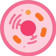 Cell PNG Icon