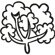 Leafy Tree PNG Icon