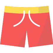 Swimsuit PNG Icon